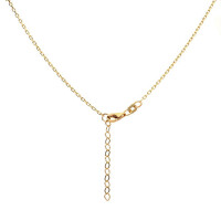 Damen Collier echt Gold 333 (8 kt) Länge 42 + 3 cm